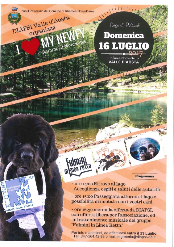 I love my newfy - 1°raduno di montagna DIAPSI 